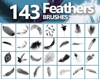 Feathers Photoshop Brushes, Plumage, Bird Feathers Overlays, Fluff brushes, Brush clip art, Photoshop abr, Digital overlay