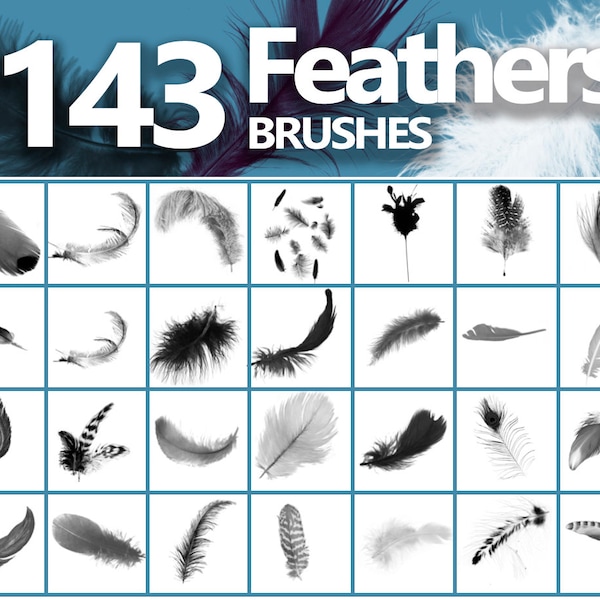 Feathers Photoshop Brushes, Plumage, Bird Feathers Overlays, Fluff brushes, Brush clip art, Photoshop abr, Digital overlay