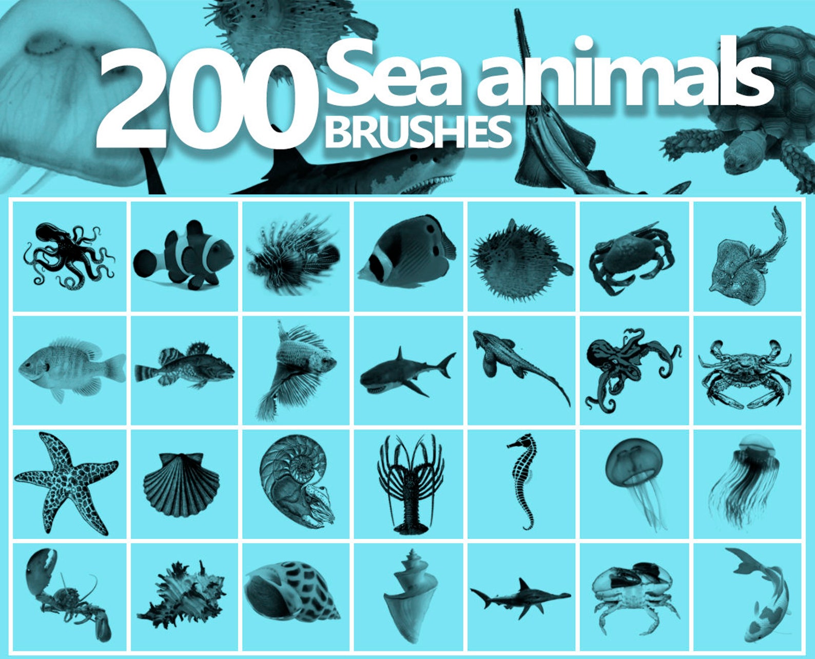 Sea Animals Brushes, Fish ABR, Sea Shells Brushes, Crab