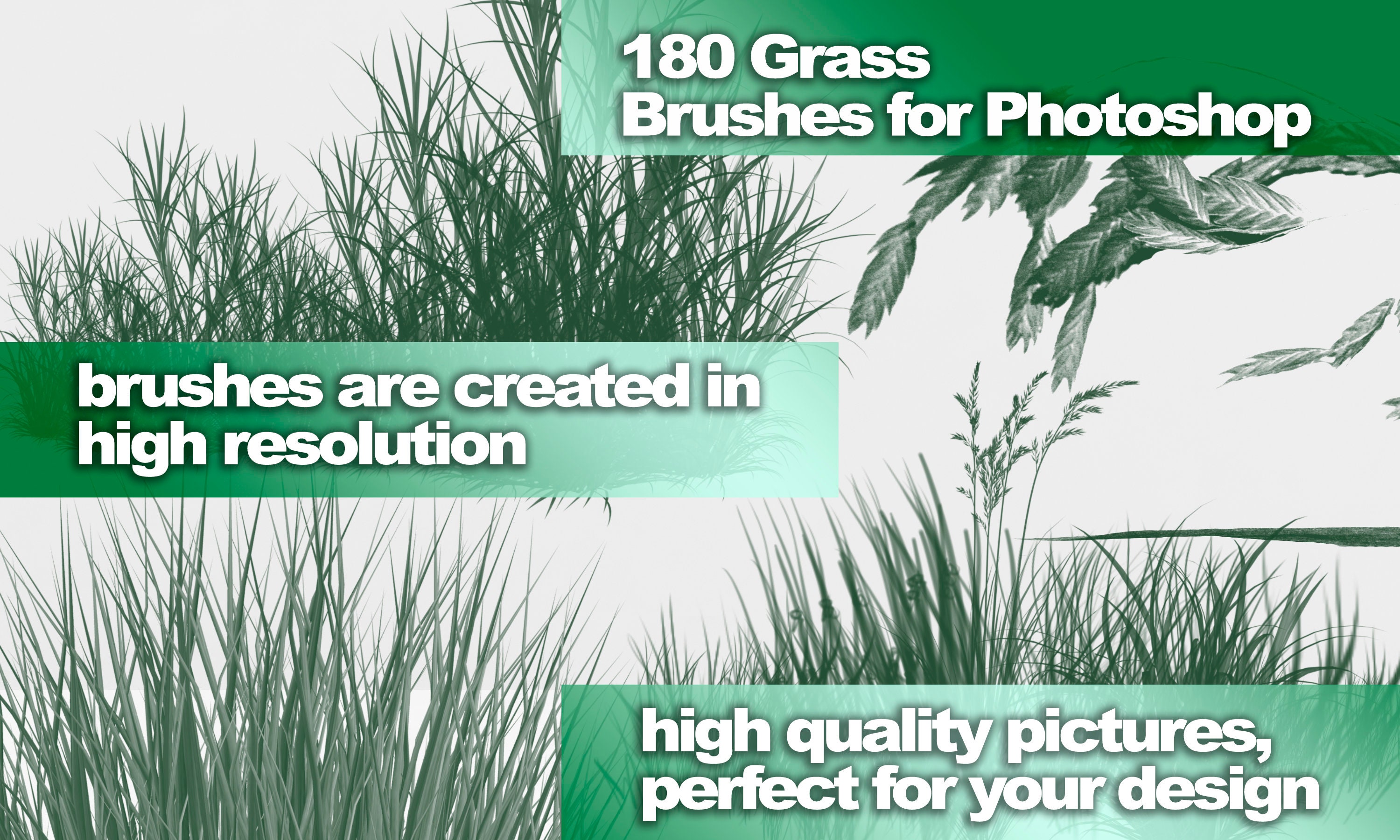 Green Grass Brushes ABR Brushes Grass Background Etsy