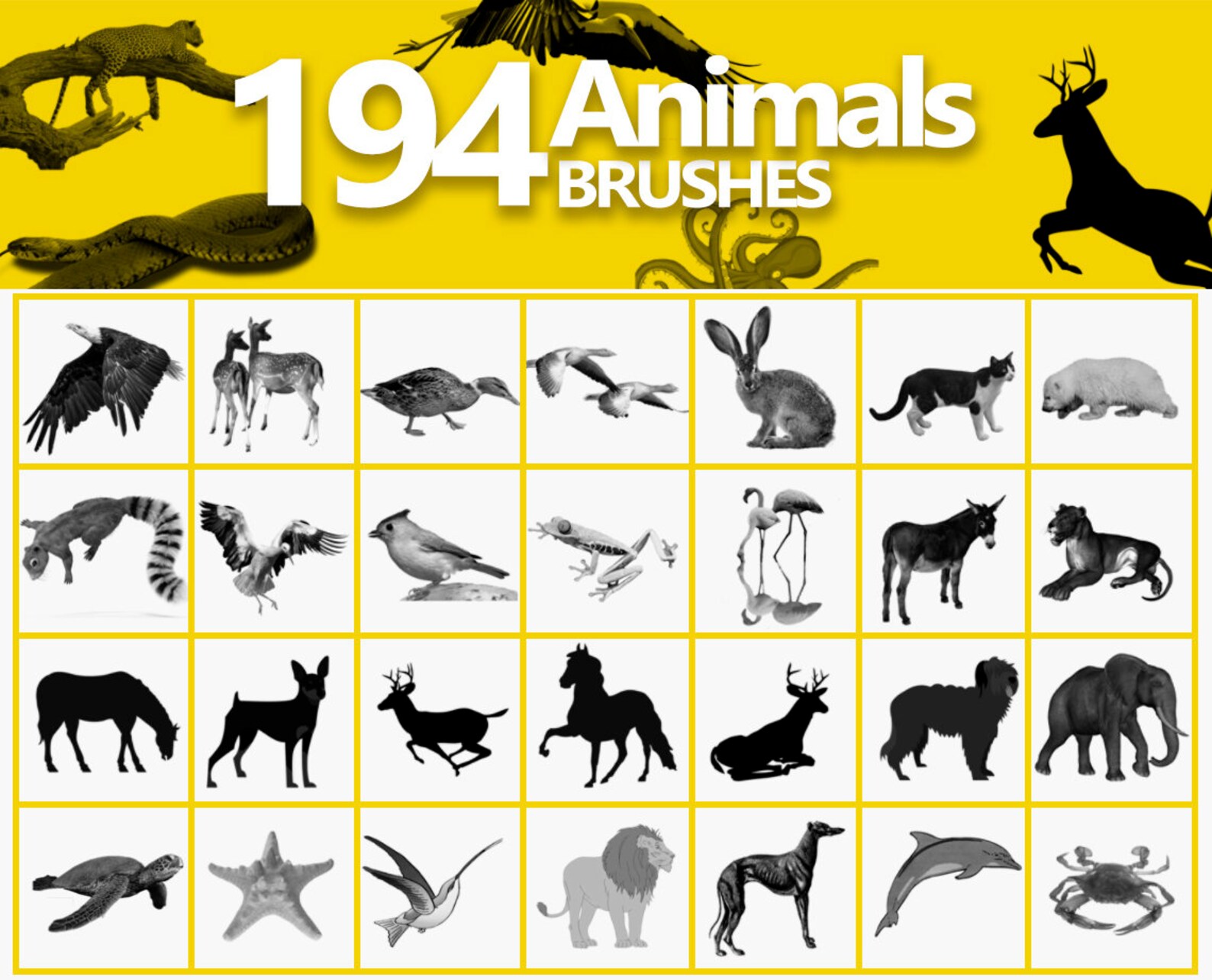 Animals Brushes, Digital Rabbit, Animals ABR Wild Animals