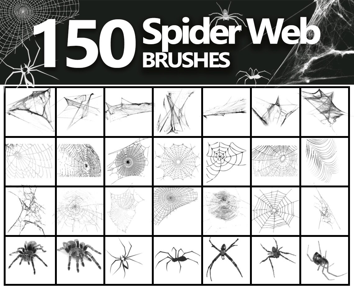 Cobweb ABR Spider  Brushes Spiders Brushes Etsy