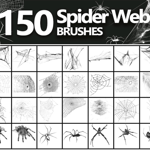 Cobweb ABR, Spider Web Brushes, Spiders Photoshop Brushes, Halloween brushes, Scary brushes, Digital Download, High resolution