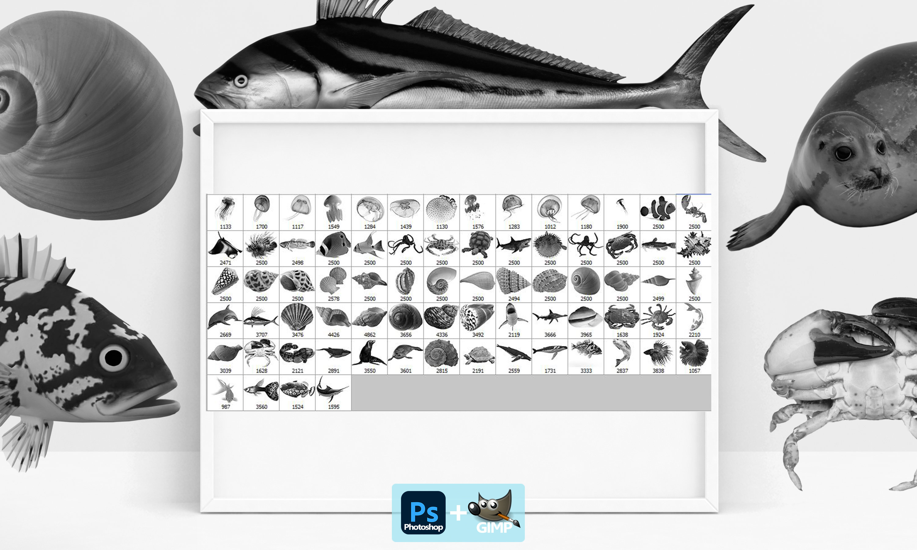 Sea Animals Brushes, Fish ABR, Sea Shells Brushes, Crab