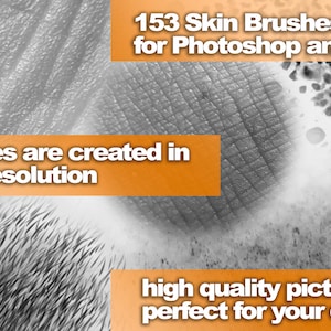 Puede incluir: 153 pinceles de piel de alta resoluci&oacute;n para Photoshop y GIMP. Los pinceles se crean en alta resoluci&oacute;n y son perfectos para crear texturas de piel realistas.
