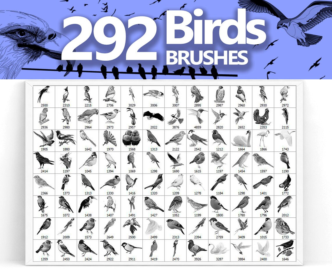 Birds Brushes, Bird ABR, Vintage Bird, Animal Brushes, Animal