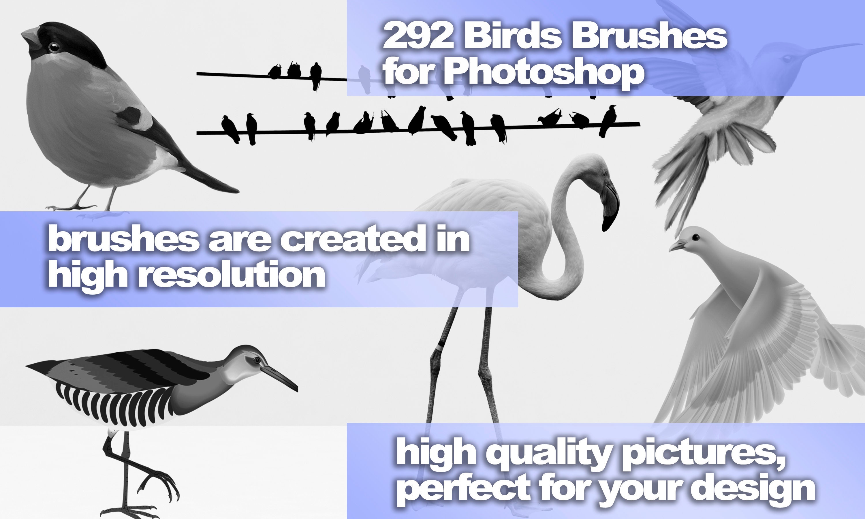 Birds Brushes, Bird ABR, Vintage Bird, Animal Brushes, Animal