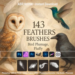 Feathers Brushes for Photoshop, Procreate, GIMP | Bird Plumage, Fluffy Overlay, ABR Texture Stamps for Clip Studio, Affinity, Fresco