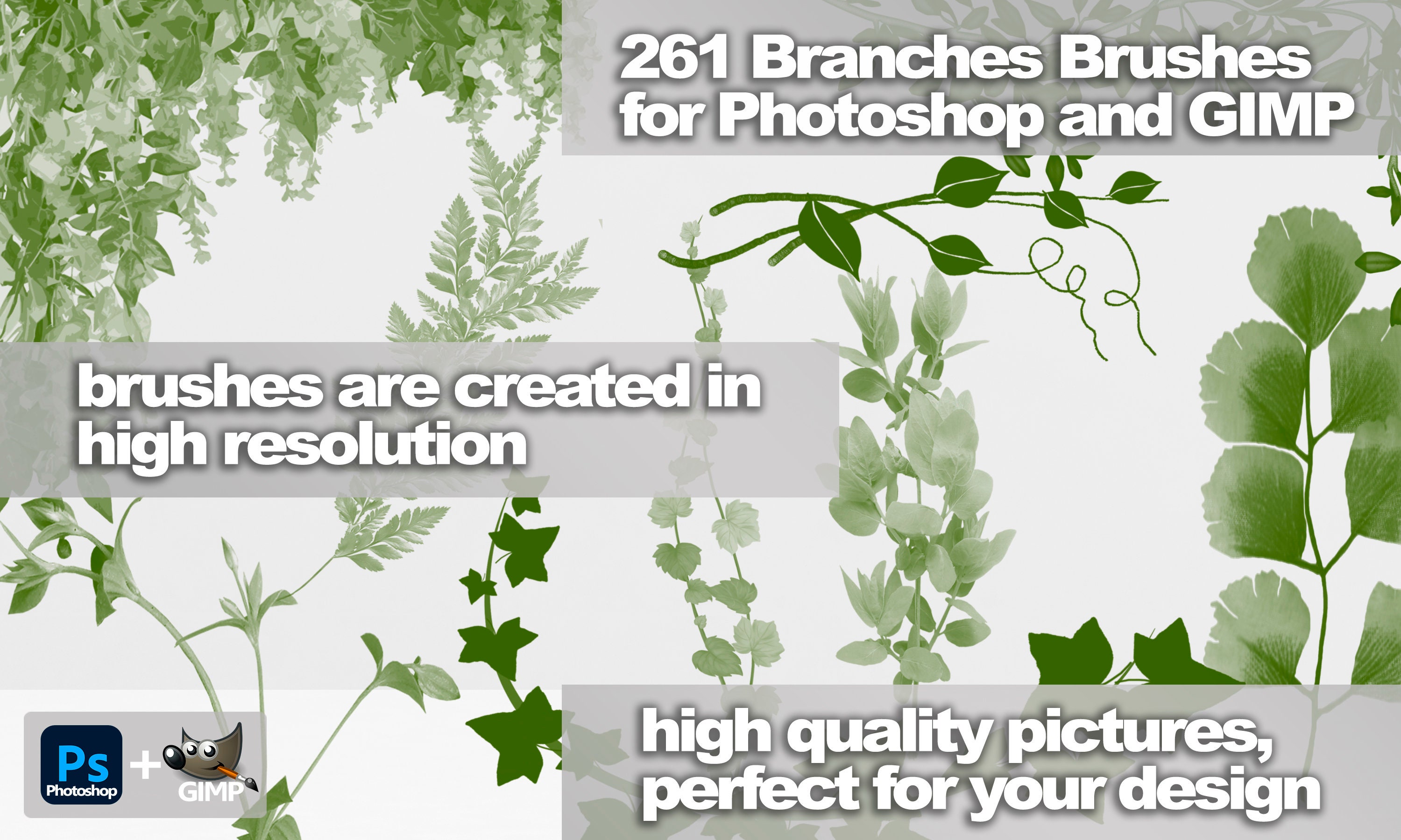 Grüne Blätter Zweige Bürsten Pack - Kostenlose Photoshop-Pinsel
