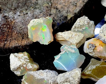 Puede incluir: Una colección de piedras de ópalo en bruto de varios tamaños y formas. Los ópalos son una mezcla de blanco, gris y marrón con destellos de verde y azul.