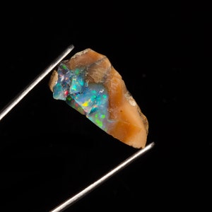May include: A rough, irregular piece of opal with a brown matrix. The opal displays a vibrant blue, green, and red iridescence. The opal is held by a pair of tweezers against a black background.