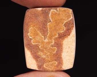 Psilomelane Dendrite Cabochon: Rectangle Loose Gemstone (20X20X6 MM)
