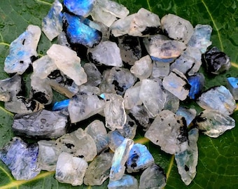 May include: A collection of iridescent rainbow moonstone rough crystals with black inclusions. The crystals are various sizes and shapes and are arranged on a green leaf.