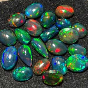 May include: A collection of black opal gemstones in various shapes and sizes. The opals have a dark base with flashes of green, blue, red, and orange.