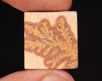 Psilomelane Dendrite Cabochon: Rectangle Loose Gemstone (25.00 Ct, 19X21X6 MM)
