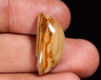 Natural Agate Jasper D Shape Cabochon: Jewelry Making (17.00 Ct, 26X12X7 MM)