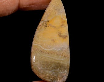 Natural Fossil Coral Gemstone Cabochon: Jewelry Making (47x21x4 mm)