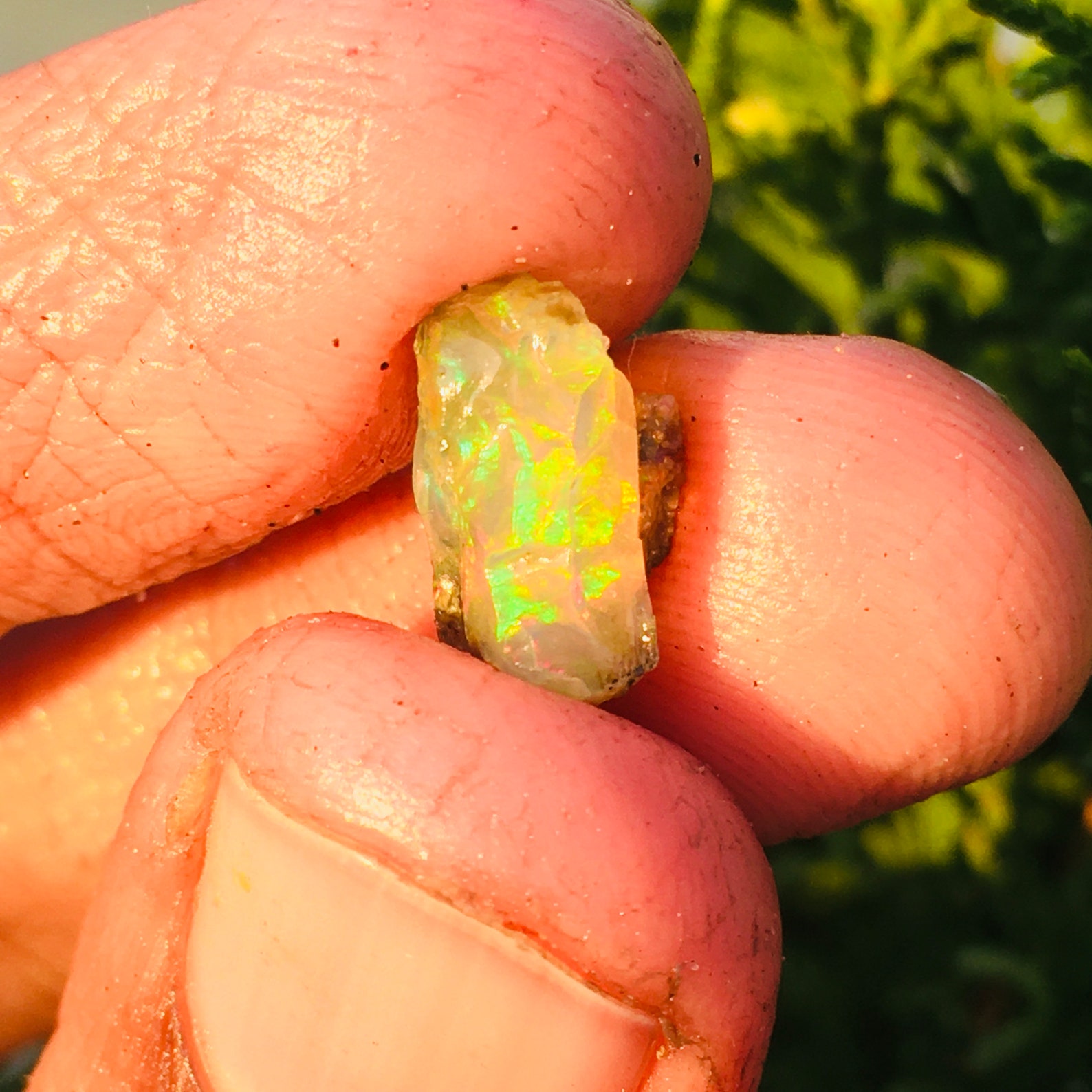 OPALE GREZZO, Opale Non Tagliato, (500 Carati - 100 Grammi) Lotto - Foto 5