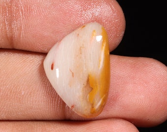 Agate Jasper Cabochon: Fancy Shape Loose Gemstone, 13.30 Ct (22X16X5 MM)