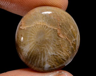 Fossil Coral Gemstone Cabochon: Round Jewelry Making Stone (18X18X4 mm)