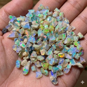 May include: A collection of small, raw opal gemstones featuring a translucent, milky white base with vibrant flashes of iridescent green, blue, orange, and yellow light. These irregular, jagged mineral fragments display a natural, unpolished texture.