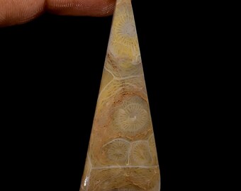Fossil Coral Gemstone Cabochon: Fancy Jewelry Making (51x20x4 mm)