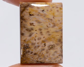 Natural Palm Root Agate Cabochon: Rectangle Gemstone (26X19X4 mm)