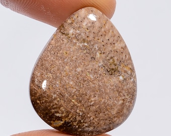 Palm Root Agate Pear Cabochon: Natural Gemstone (25x21x5 mm)