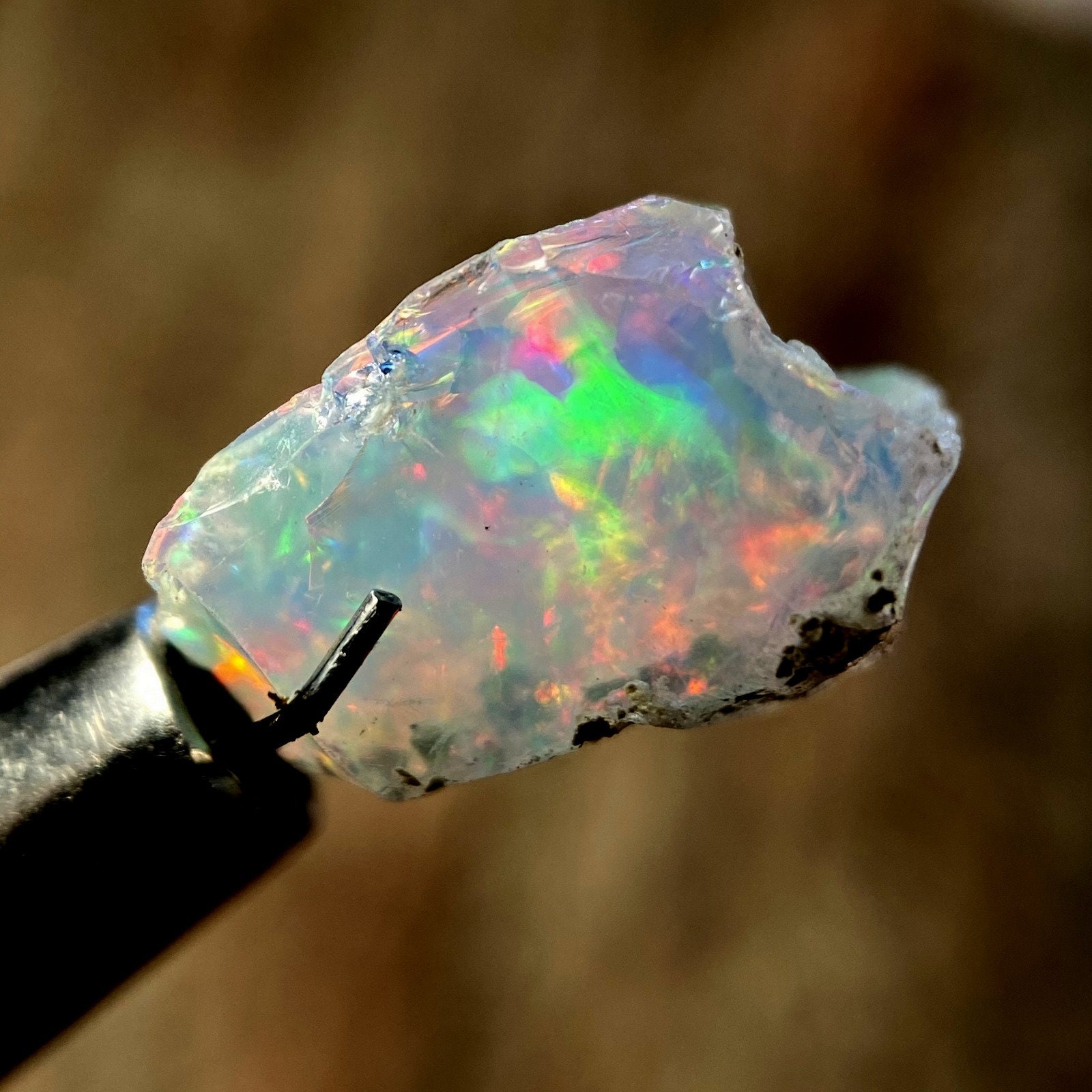 Buy clearance rough opal