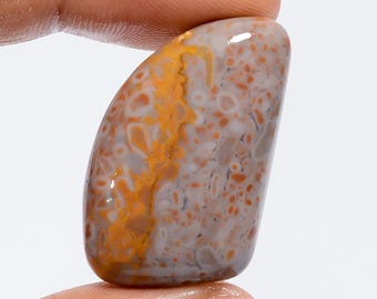 May include: A smooth, polished, light brown and white agate stone with a swirling pattern. The stone is shaped like a teardrop and has a glossy finish.