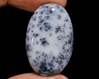 May include: A white oval cabochon gemstone with black dendritic inclusions. The stone has a smooth, polished surface and is approximately 25mm in length.