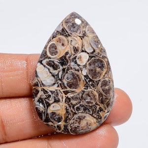 May include: A teardrop-shaped gemstone with a unique pattern of brown, beige, and cream-colored circular formations. The polished surface reflects light, highlighting the natural variations and textures of the stone. This cabochon is ideal for jewelry making.