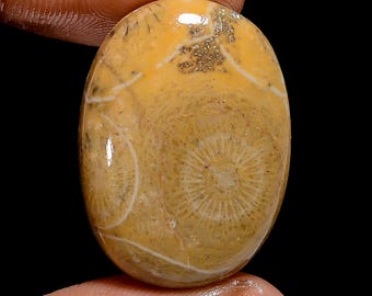 Oval Fossil Coral Cabochon: Natural Gemstone (27X19X6mm)