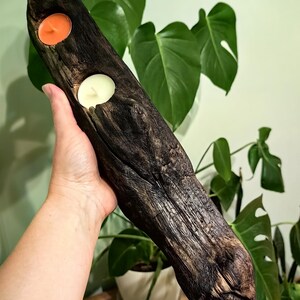 May include: A dark brown, rustic wooden candle holder with two circular openings, each holding a lit candle. One candle is orange, the other is white. The holder is held in a hand, with green plants in the background.