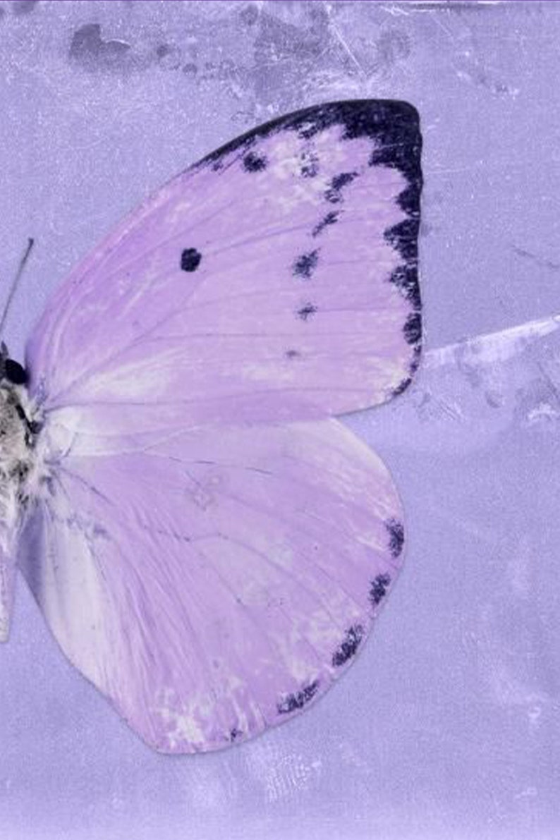 Aesthetic Deep Purple Lavender Violet Aesthetic Photo Wall | Etsy