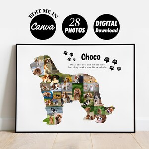 May include: A digital download of a printable poster featuring a collage of 28 photos of Cavalier King Charles Spaniels in the shape of a dog. The poster is titled "Choco" and includes the quote "Dogs are not our whole life, but they make our lives whole."