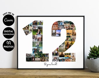 EDITABLE 44 photos, Personalized 12th Anniversary Photo Collage Template Gift for Boyfriend, Birthday Present for him, Digital Printable