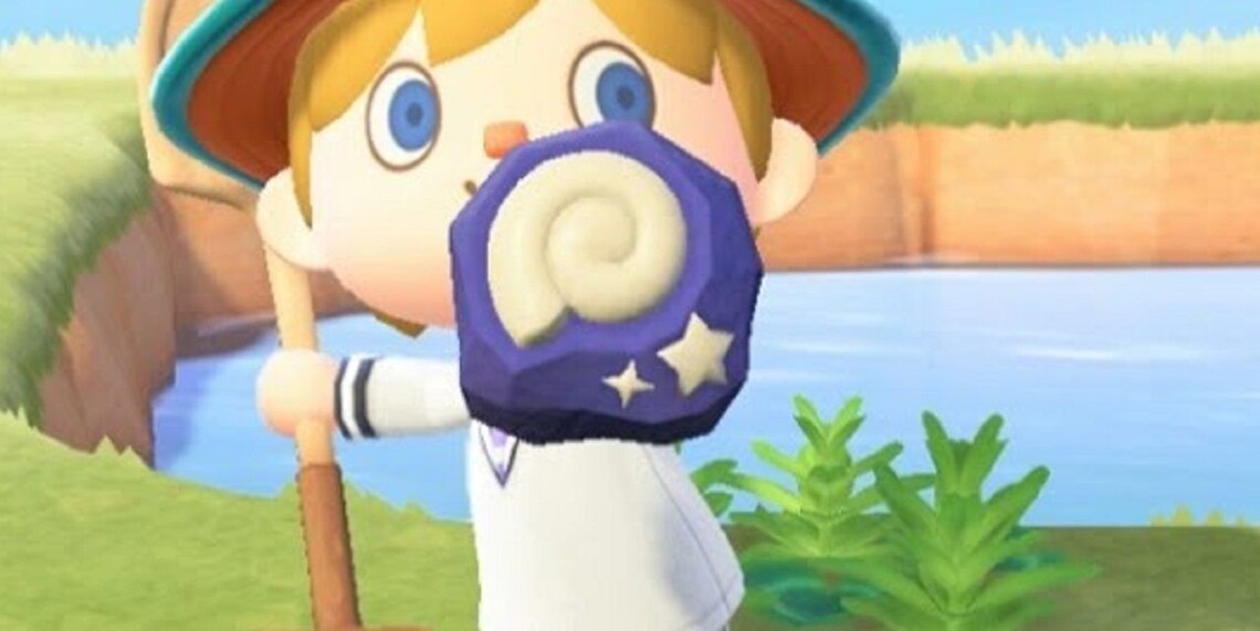 Various Fossils Animal Crossing New Horizons Etsy