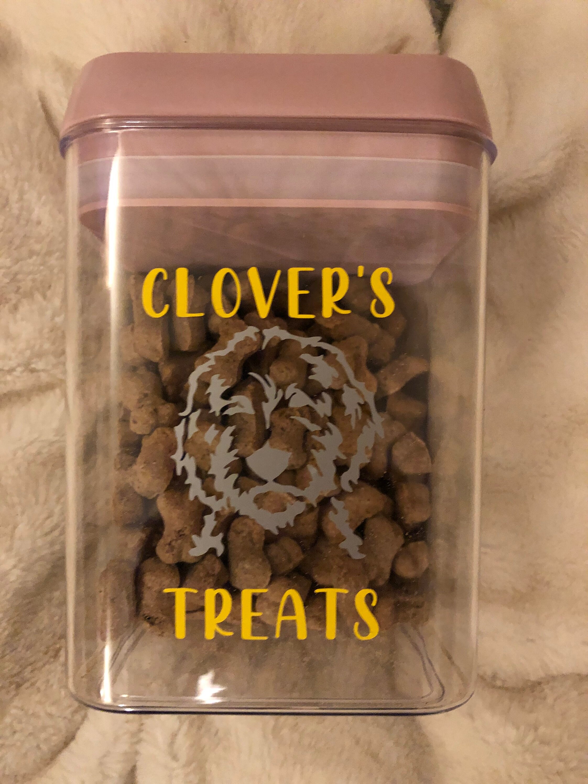 Medium Personalised Pet treat storage canister/box with stay Etsy