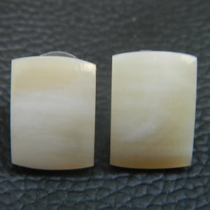 Ethically Sourced Horn Bone Jewelry Buffalo Horn Studs  Earring Handcrafted Indian Traditional Style Vintage Look Fashion Jewelry