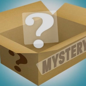 NEW!!! Mystery ‘Bun’dle