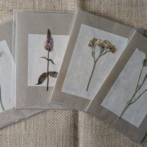 Set di quattro biglietti con fiori pressati veri, biglietti con fiori pressati, biglietti floreali, fiori conservati, amanti dei fiori
