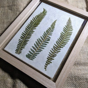 Forest Fern Frame, Pressed Flower Frame, Ferns, Botanical Wall Hanging, Floating Frame, Birthday Gift