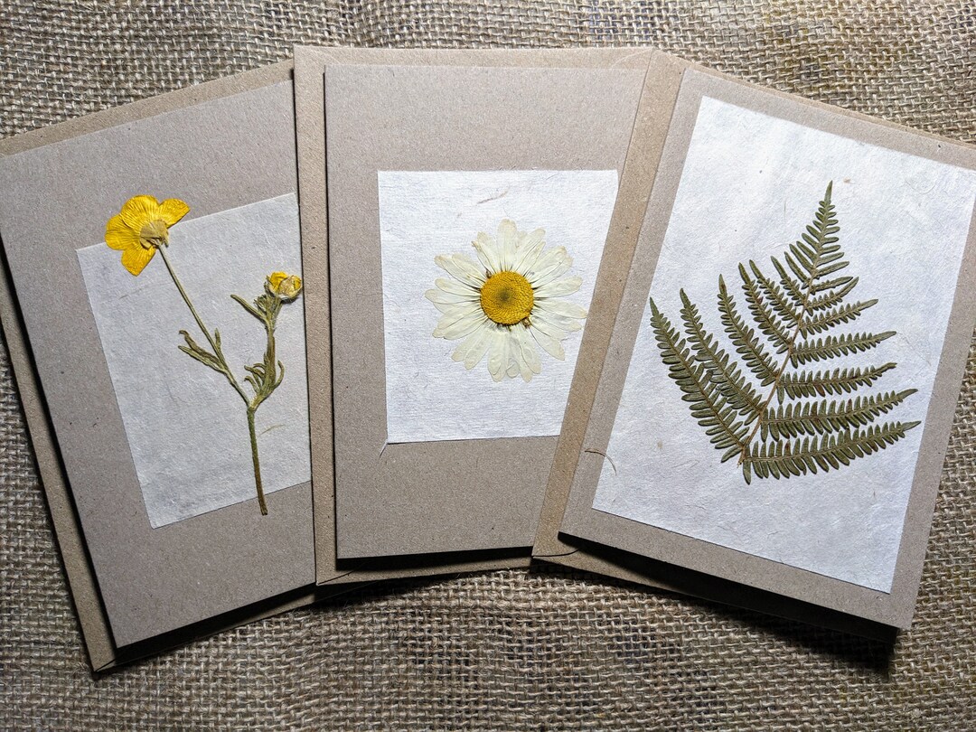 Set of Three Real Pressed Flower Cards, Pressed Flower Cards, Floral ...