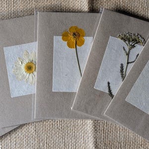 Juego de cinco tarjetas con flores prensadas auténticas, tarjetas con flores prensadas, tarjetas florales, flores preservadas, amantes de las flores