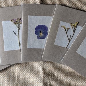 Set di cinque biglietti con fiori pressati autentici, biglietti con fiori pressati, biglietti floreali, fiori conservati, amanti dei fiori