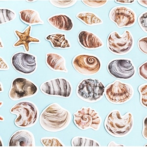 46 Pcs Seashell Pattern Gloss Surface Paper Stickers 23 Different Patterns*2 // Seal Stickers Journal Deco Scrapbooking Stickers