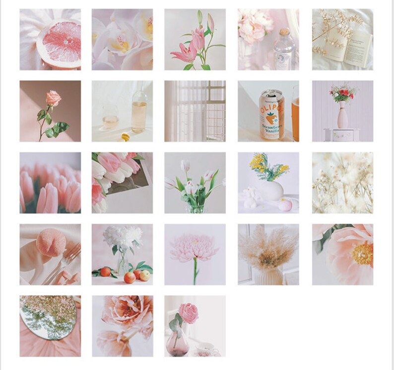 May include: A collage of 25 images featuring a variety of pastel-colored flowers, fruits, and other objects. The images are arranged in a grid pattern and include a pink grapefruit, white orchids, pink lilies, a pink rose, a glass of wine, a window with white curtains, a can of strawberry vanilla soda, a vase of pink flowers, a bouquet of white tulips, a bowl of mimosa flowers, a peach, a bouquet of white hydrangeas, a pink chrysanthemum, a vase of dried pampas grass, a pink peony, a mirror reflecting a tree, a pink rose in a vase, and a book with a white cover.