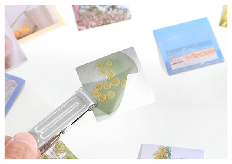 May include: A close-up of a silver metal binder clip holding a green and white photo card with a picture of lemon slices in water. The photo card is on a white surface.