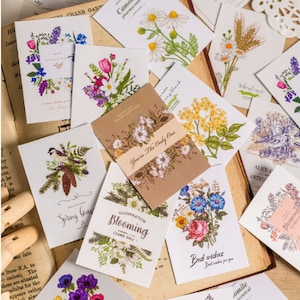 May include: An assortment of floral and botanical themed greeting cards with various designs and text. The cards feature illustrations of flowers, plants, and a bird. Some of the text on the cards includes "You're The Only One", "Spring Blooms", "Bed Wishes", "Camomile", and "Illustration Blooming".